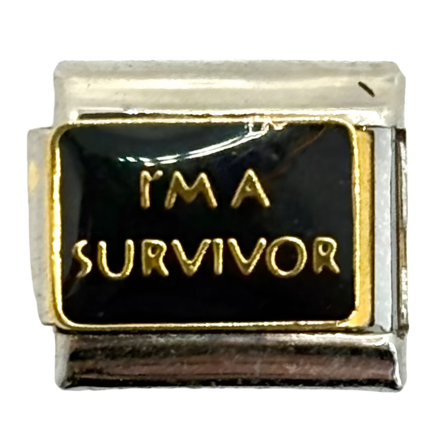 Stainless Steel I'm a Survivor Charm Link