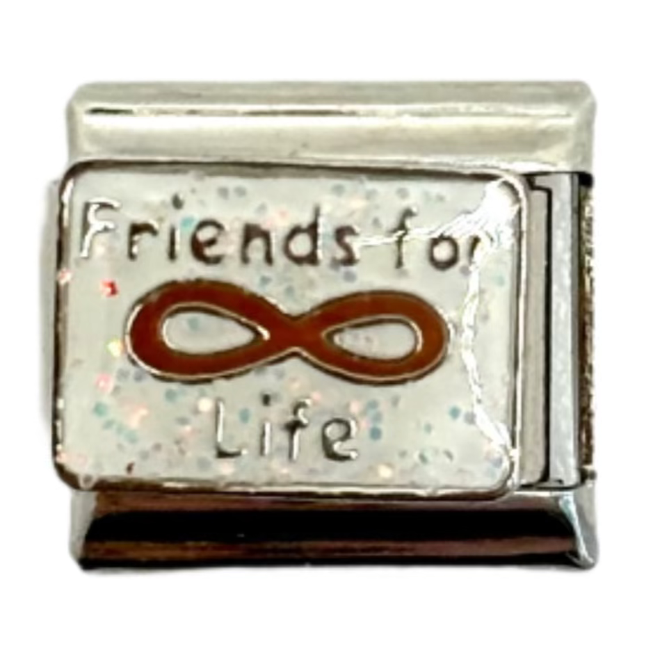 Silver charm with 'Friends for Life' and infinity symbol on a white background