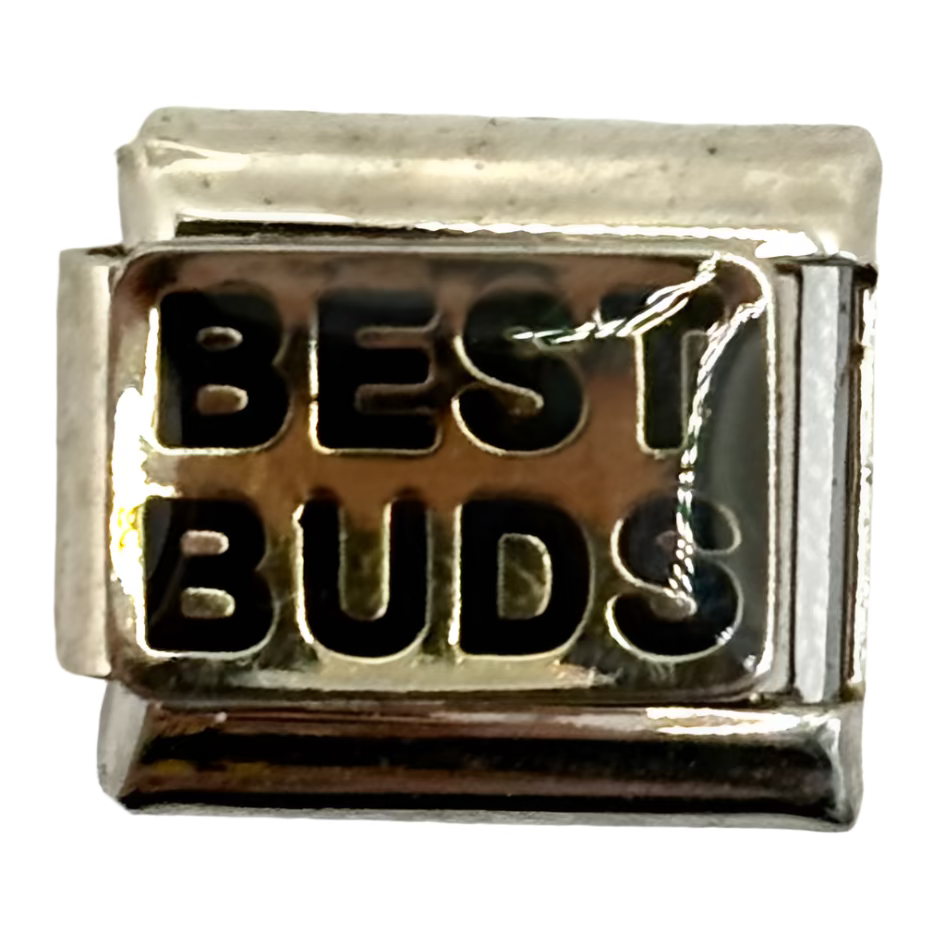 Stainless Steel Best Buds Charm Link