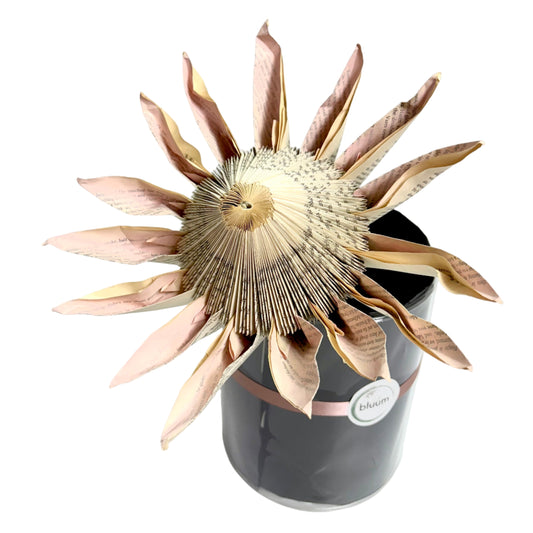Handmade Medium Single Paper Protea
