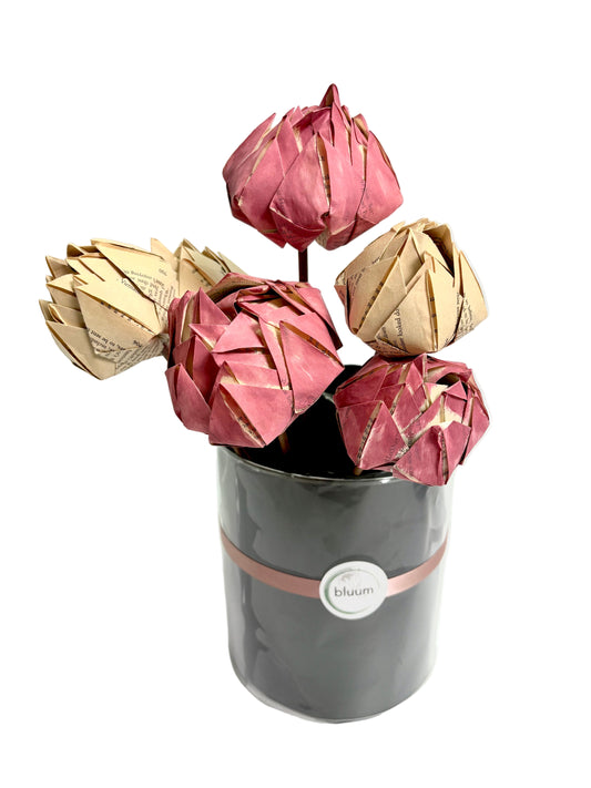 Bunch of 6 Handmade Paper Proteas