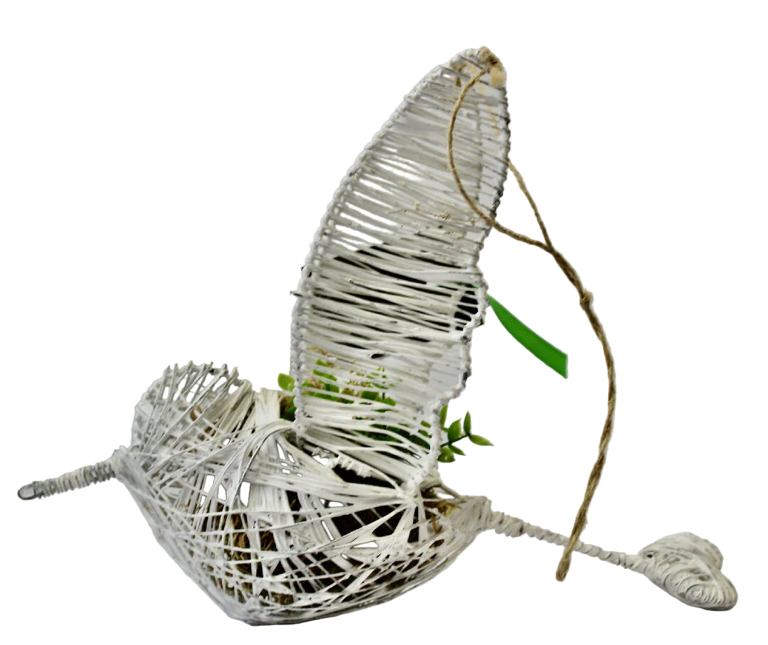 Handmade Wire Hanging Sugarbird for Air Plant
