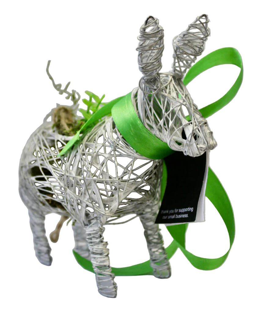 Handmade Wire Donkey Plant Holder