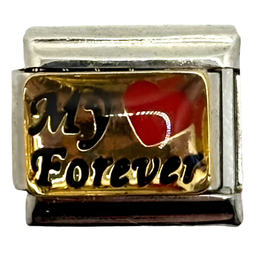Stainless Steel My Forever Charm Link