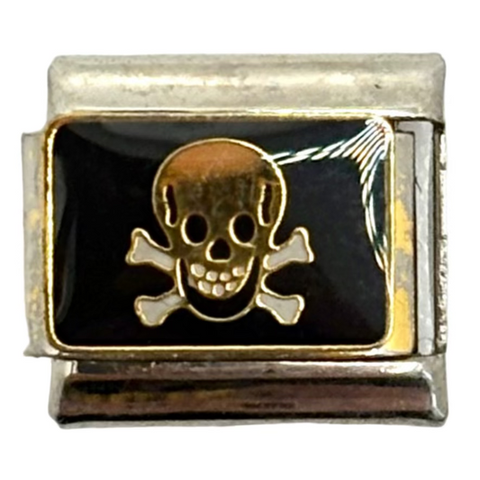 Stainless Steel Skull & Crossbones Symbol Charm Link