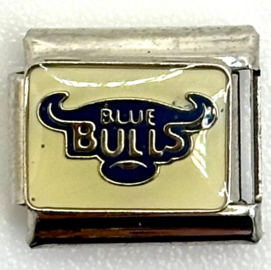 Stainless Steel Local Rugby Team Charm Link