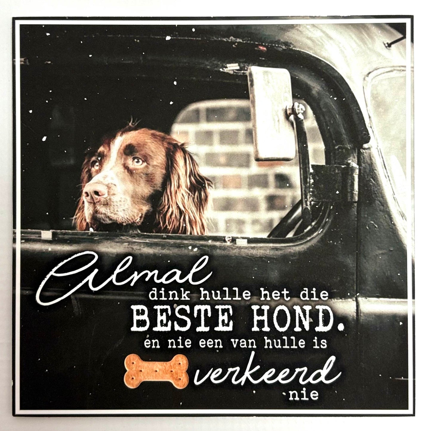 “Beste Hond” – Afrikaans Dog-Lovers Wall Art