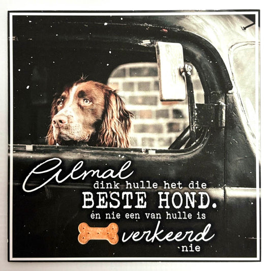 “Beste Hond” – Afrikaans Dog-Lovers Wall Art