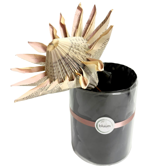 Handmade Medium Single Paper Protea