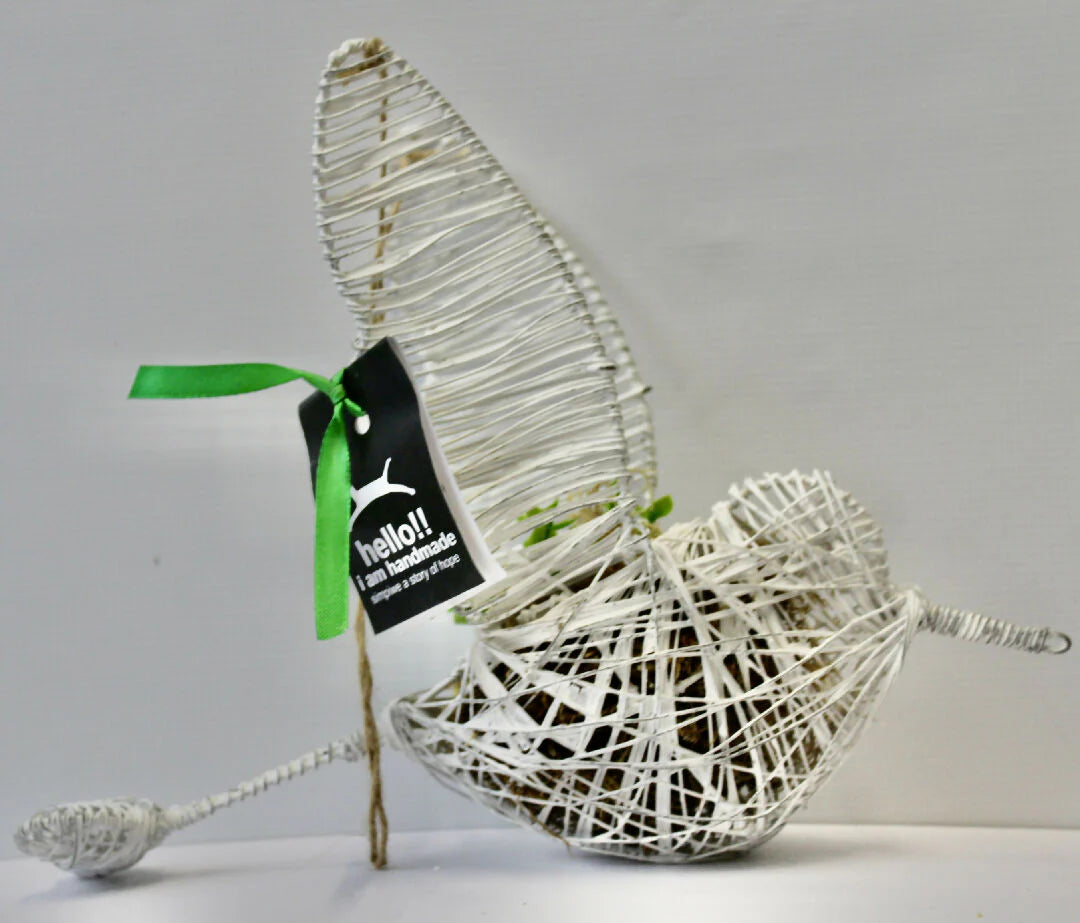 Handmade Wire Hanging Sugarbird for Air Plant