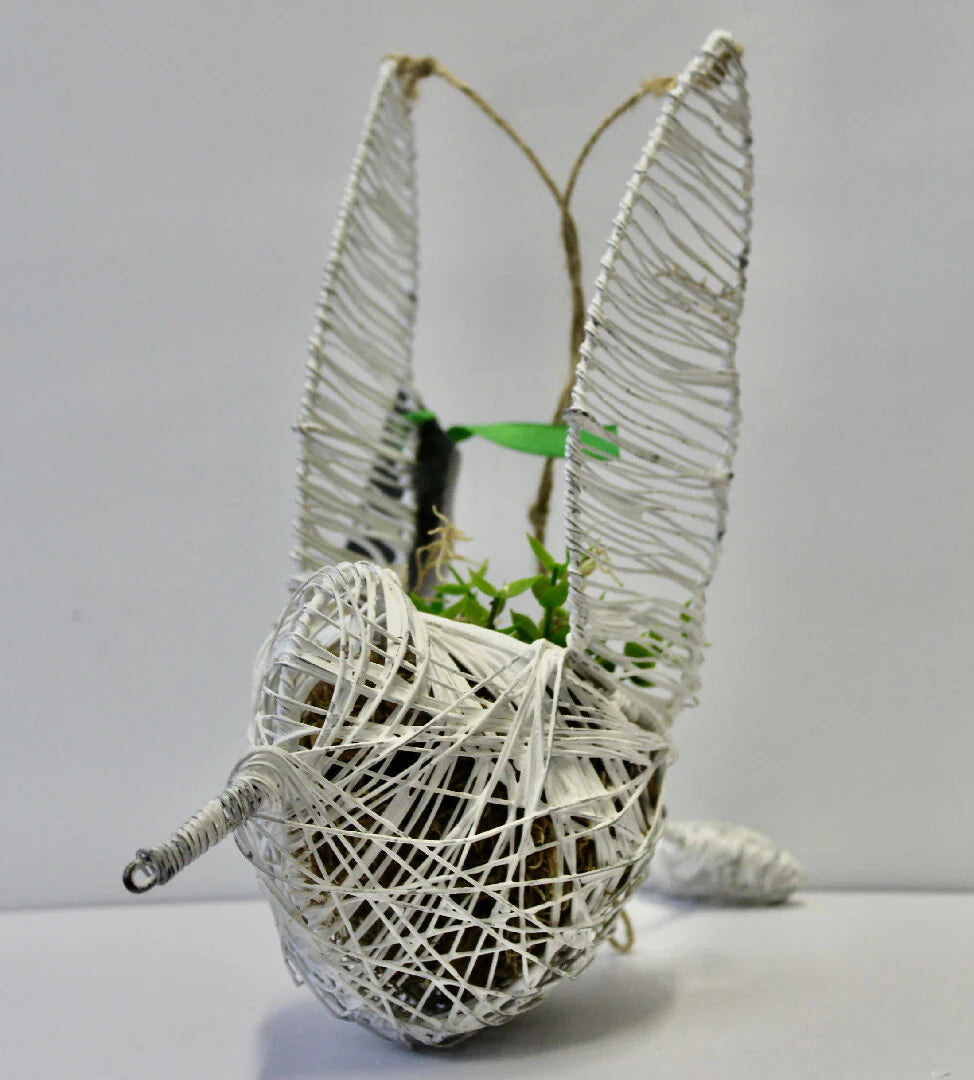 Handmade Wire Hanging Sugarbird for Air Plant