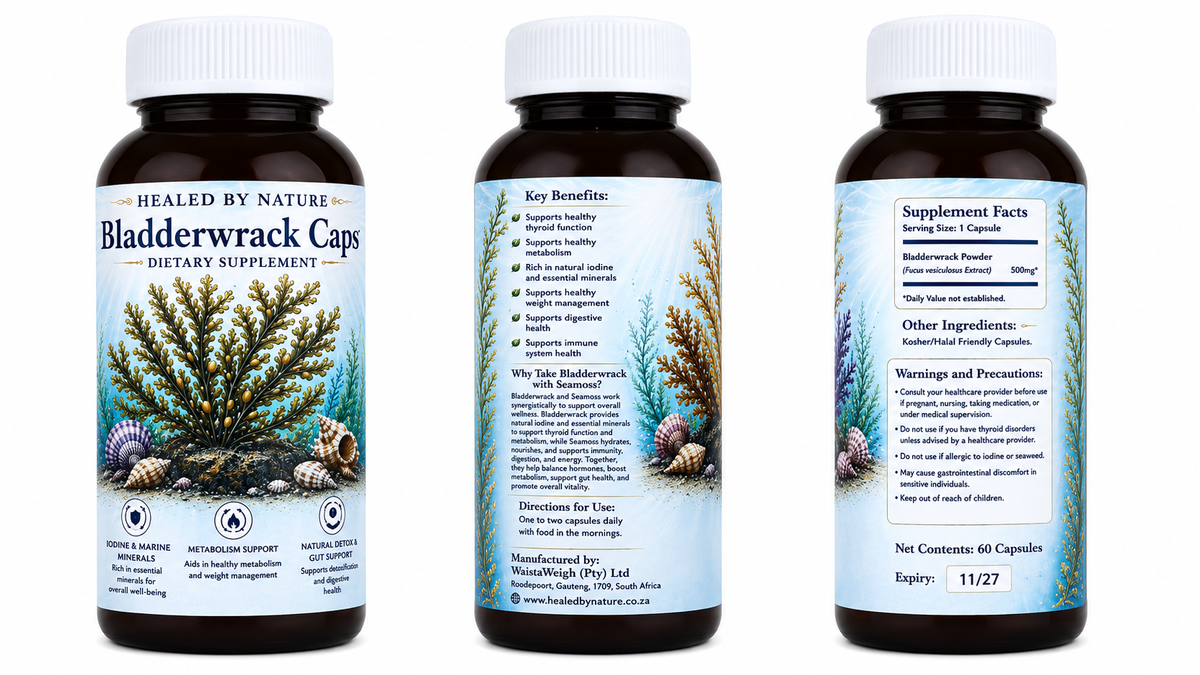 Bladderwrack