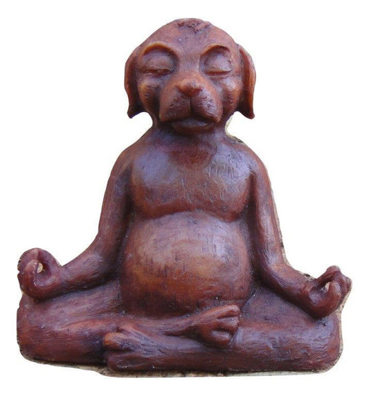 Meditation Dog