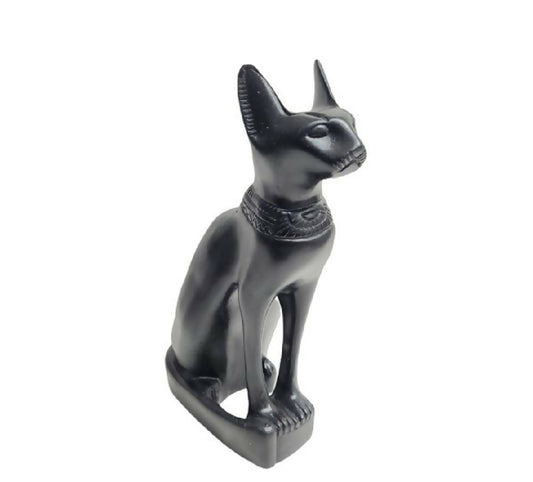 CAT-21CM