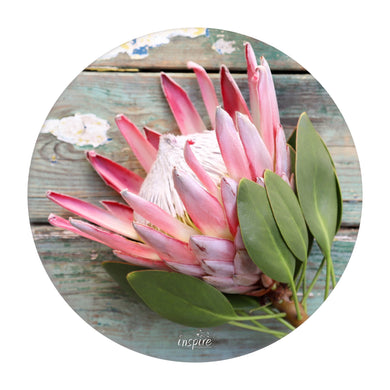 Round Cuttingboard - Protea jatrade.co.za